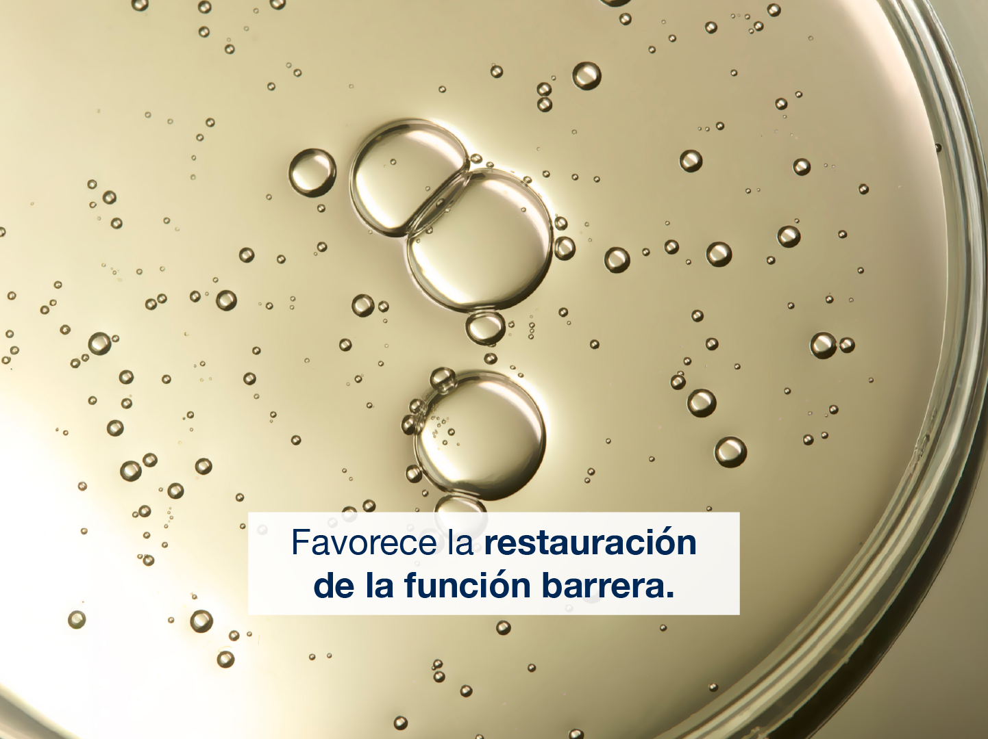XEROCLATACEITEDUCHA-con-0-con_xerolact-aceite